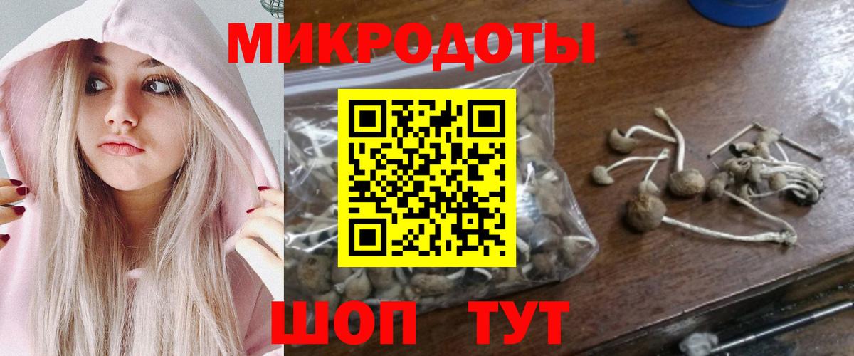 Галлюциногенные грибы мицелий  Вход с VPN  Знаменск 